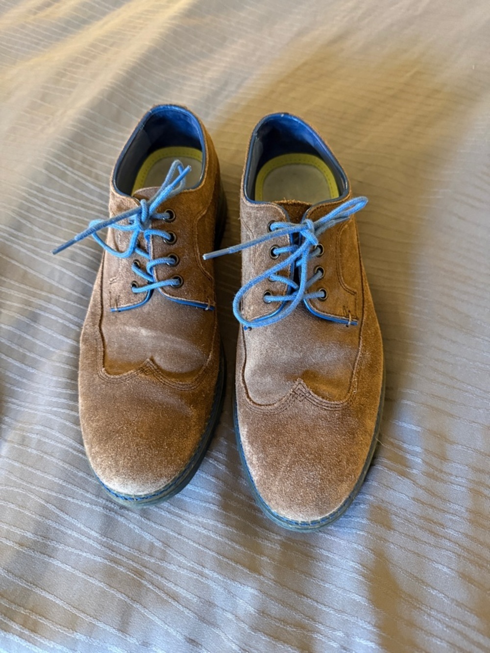 Ted Baker London Brown Suede derby Oxfords with Blue Accents - Picture 2 of 13